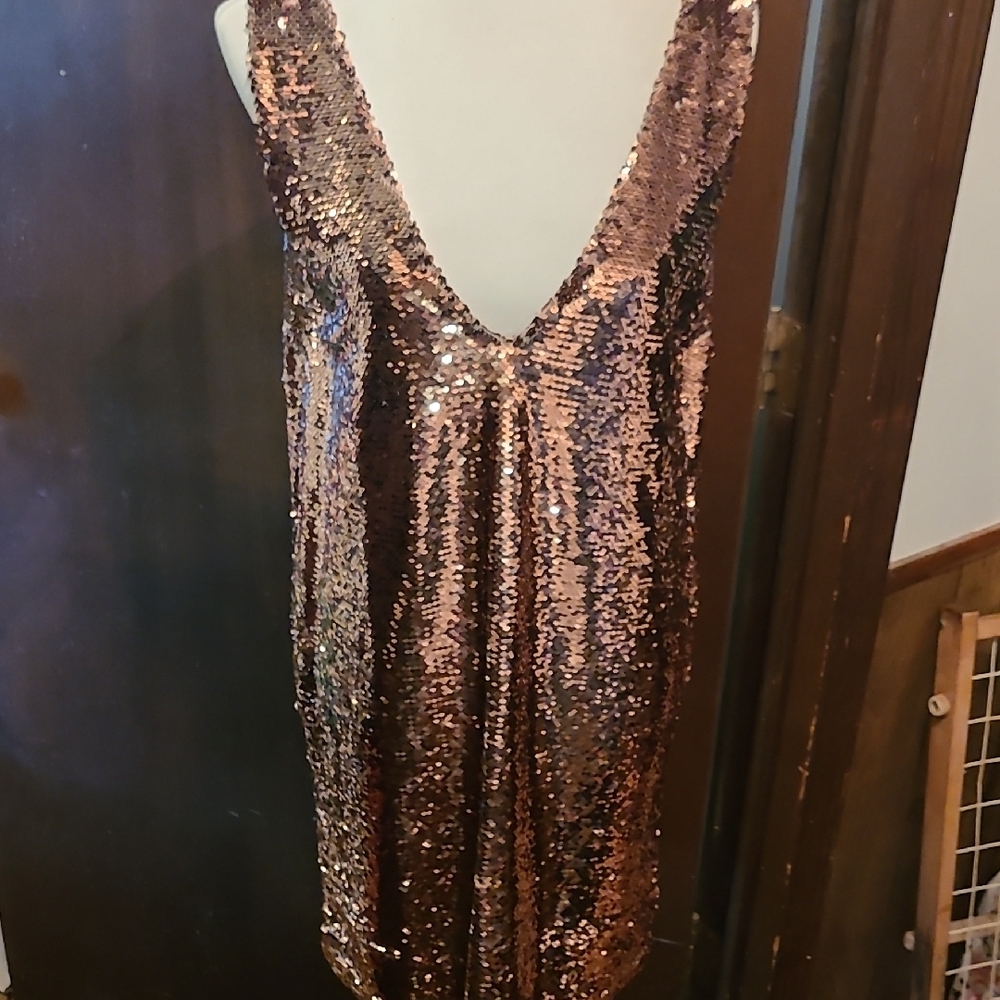 BB Dakota Elegant Blush Dress